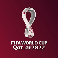 届世界杯